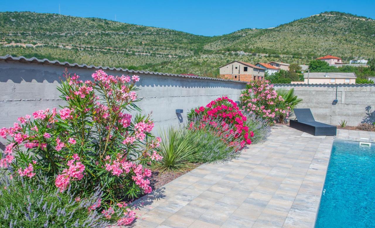 Villa Carpe Diem - With Private Pool Mostar Extérieur photo
